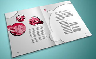 厦门彩色封套印刷,厦门彩色封套印刷生产厂家,厦门彩色封套印刷价格