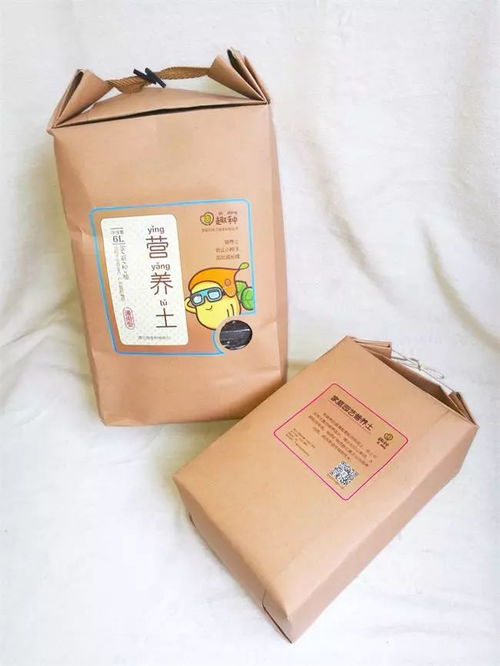 文创设计新风尚：易经八卦文化与亲子蔬菜种植品牌的视觉融合