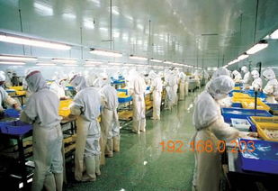 厦门食品净化车间选购指南 如何找到销量好、品质优的生产厂家